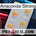 Anaconda Strong 24